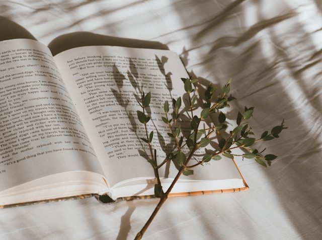 Samtida romaner som alla pratar om